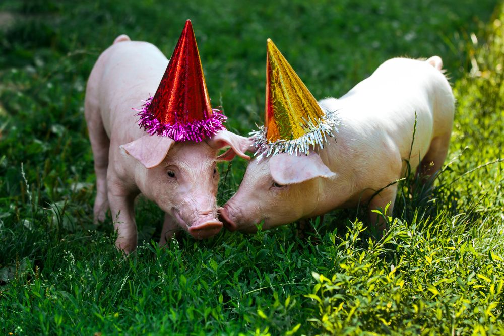 Children petting animals during a farm birthday party